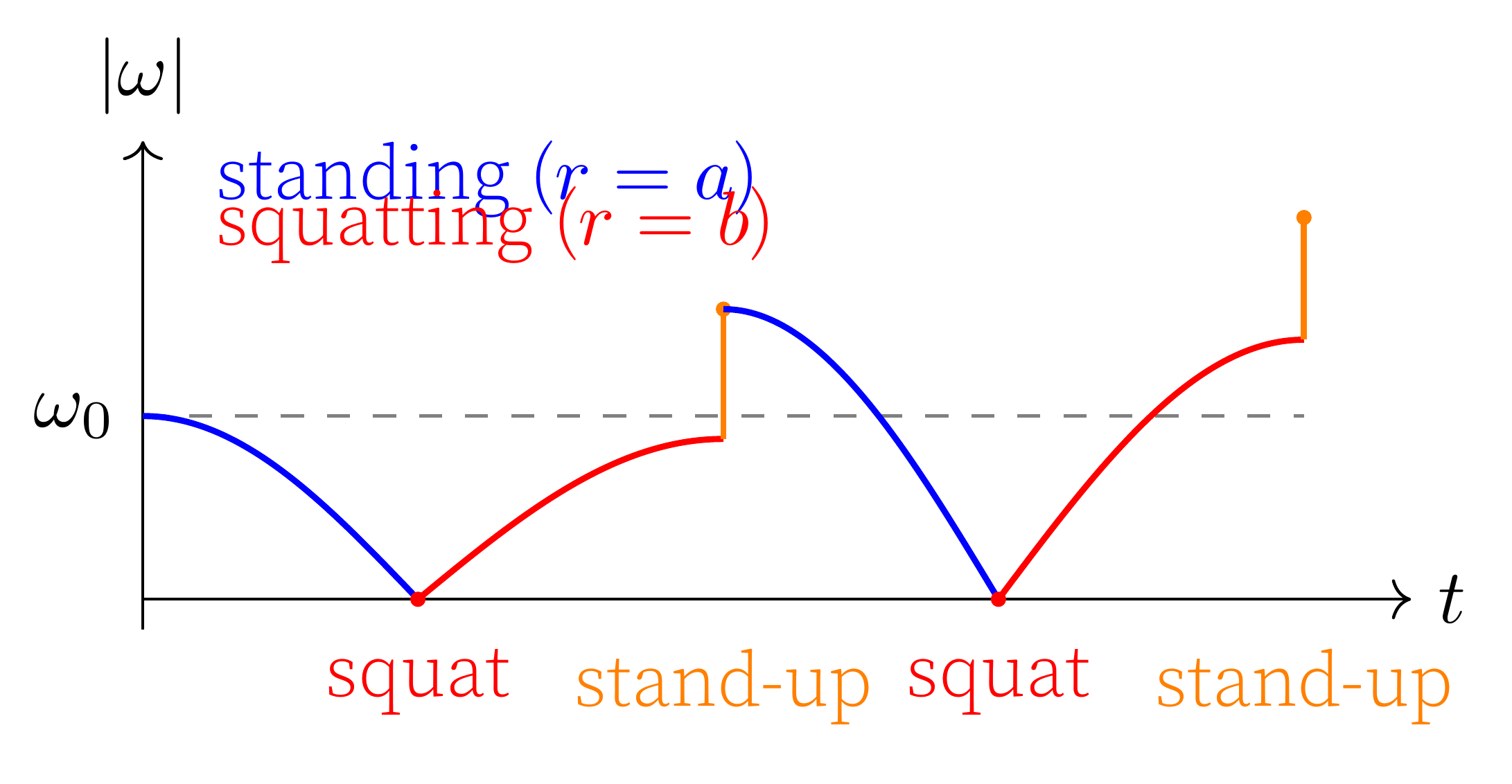 Graph: |ω| vs t over the first full period. Two roughly sinusoidal arches per half-period: a shorter (radius a, "standing") arch and a longer (radius b, "squatting") arch. Vertical jumps in |ω| at every t where the swing is at the bottom (stand-up events); smooth meeting at the turning points (squat events). Peak |ω| grows from cycle to cycle.